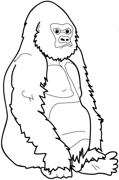 Plansa de colorat cu Gorilla 21 14
